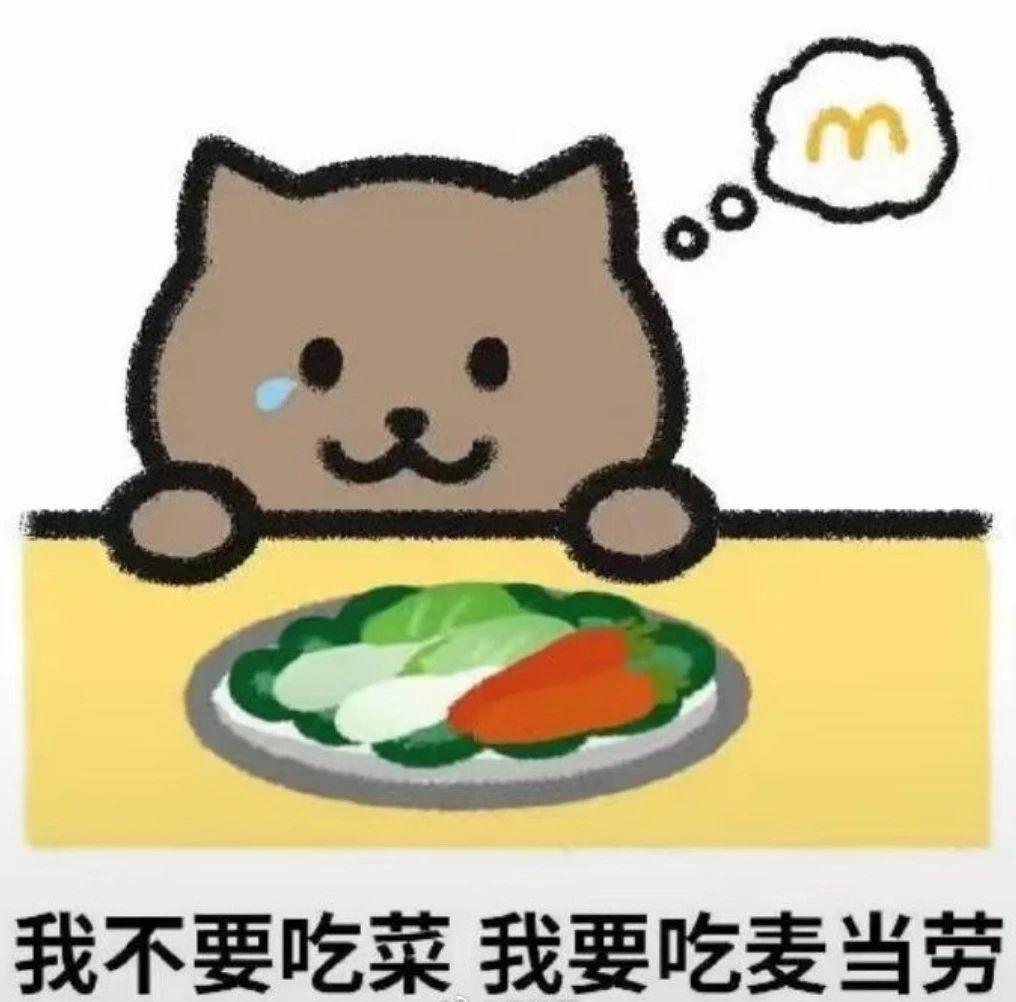 黑料社区：胖猫之死：苦行僧式的“恋爱”，换不到未来